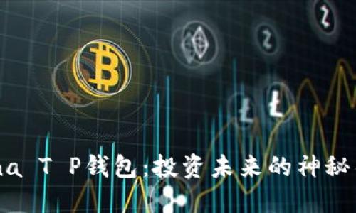 “Luna T P钱包：投资未来的神秘钥匙”