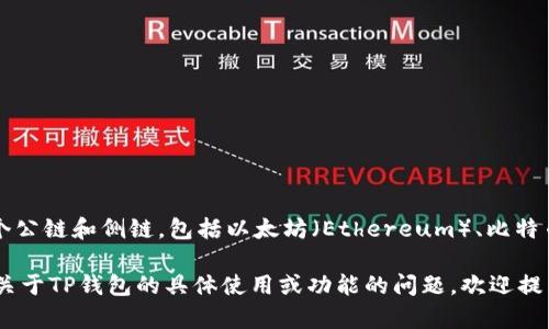 TP钱包（TokenPocket）是一个支持多种区块链资产管理的移动钱包，它本身并没有特定的分链名称。TP钱包支持多个公链和侧链，包括以太坊（Ethereum）、比特币（Bitcoin）、波卡（Polkadot）、EOS等。用户可以在TP钱包中管理不同区块链上的加密资产和进行相关的区块链操作。

如果你需要了解具体的区块链或资产信息，通常可以在TP钱包的官方文档或社区资源中找到相关的信息。如果你有关于TP钱包的具体使用或功能的问题，欢迎提出！