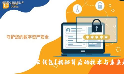 如何开发区块链云钱包?揭秘背后的技术与未来趋势