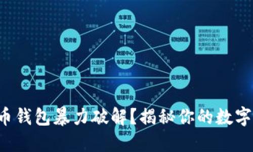 如何防止虚拟币钱包暴力破解？揭秘你的数字资产安全之道！