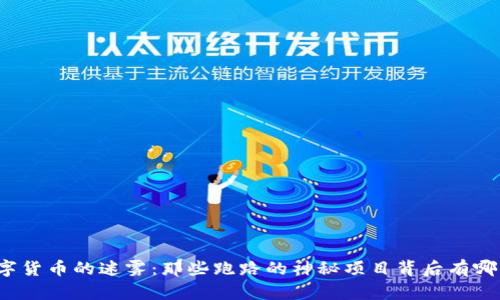 揭开数字货币的迷雾：那些跑路的神秘项目背后有哪些真相？