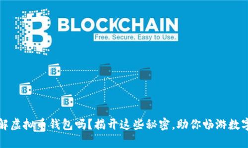 你真的了解虚拟币钱包吗?揭开这些秘密,助你畅游数字货币世界