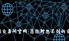 探秘火网交易所官网：您
