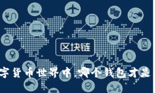 在浩瀚的数字货币世界中，哪个钱包才是你的安全港？