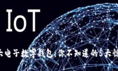 全球最大电子数字钱包：