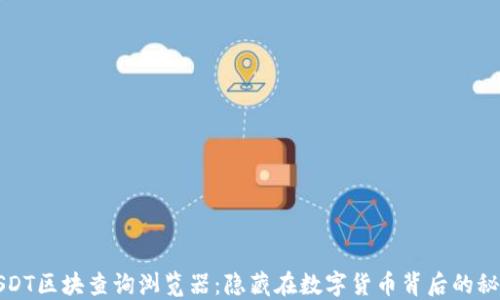 USDT区块查询浏览器:隐藏在数字货币背后的秘密
