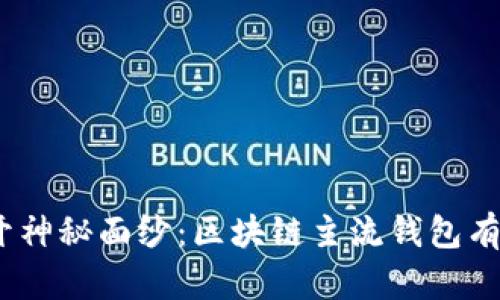 : 揭开神秘面纱：区块链主流钱包有哪些？