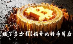 中本聪究竟赚了多少钱？