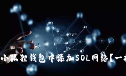 如何在小狐狸钱包中添加SOL网络？一探究竟！