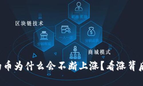 TP钱包的币为什么会不断上涨？看涨背后的秘密！