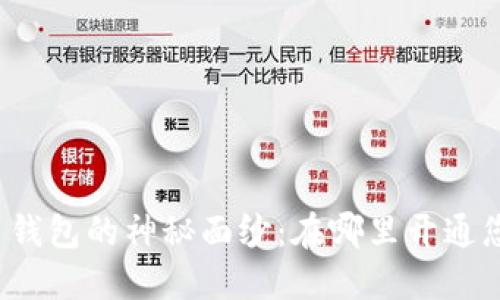 揭开数字货币钱包的神秘面纱:在哪里开通您的数字资产?