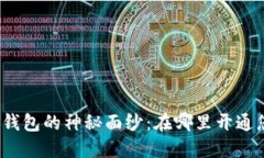 揭开数字货币钱包的神秘