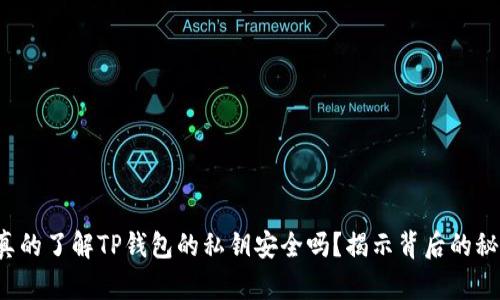 你真的了解TP钱包的私钥安全吗?揭示背后的秘密!