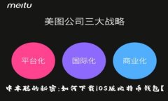 中本聪的秘密：如何下载
