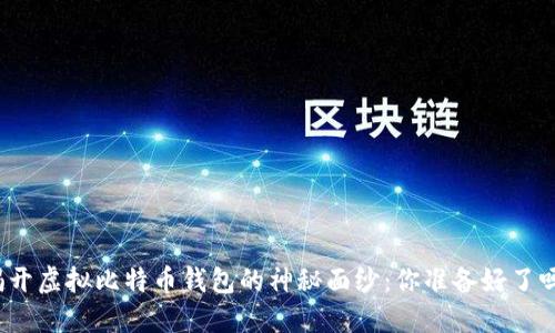 揭开虚拟比特币钱包的神秘面纱：你准备好了吗？