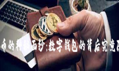 揭开数字货币的神秘面纱：数字钱包的背后究竟隐藏了什么？