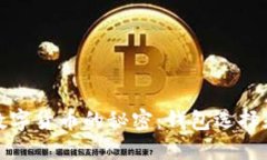 探索香港数字货币的秘密