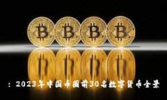 : 2023年中国币圈前30名数字