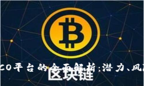 虚拟币ICO平台的全面解析：潜力、风险与未来