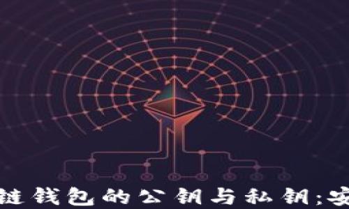 
全面解读区块链钱包的公钥与私钥：安全性与实用性