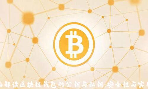 
全面解读区块链钱包的公钥与私钥：安全性与实用性