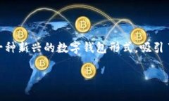 t当今社会中，数字支付和
