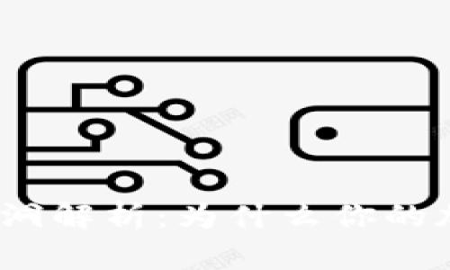加密钱包安全漏洞解析:为什么你的加密钱包会被盗?