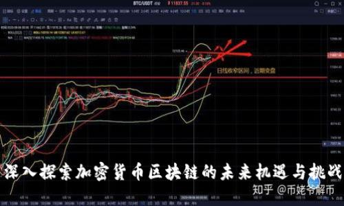 深入探索加密货币区块链的未来机遇与挑战
