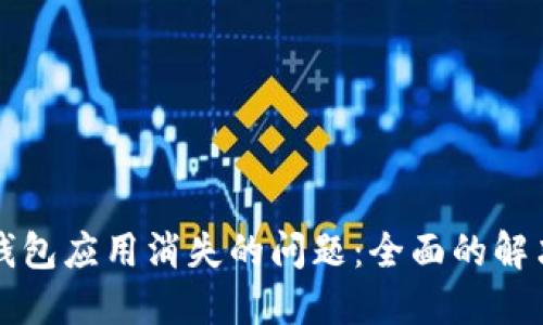 如何解决TP钱包应用消失的问题：全面的解决方案与指南