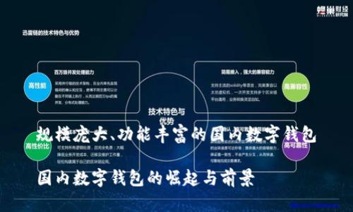 规模庞大、功能丰富的国内数字钱包
国内数字钱包的崛起与前景