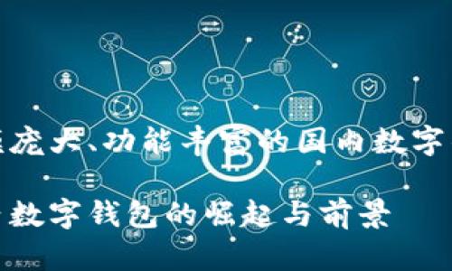 规模庞大、功能丰富的国内数字钱包
国内数字钱包的崛起与前景
