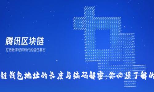 区块链钱包地址的长度与编码解密：你必须了解的一切