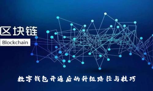 数字钱包开通后的升级路径与技巧