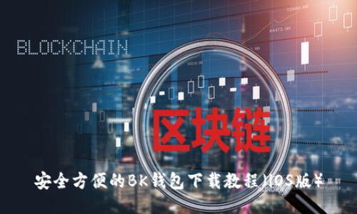 安全方便的BK钱包下载教程（iOS版）