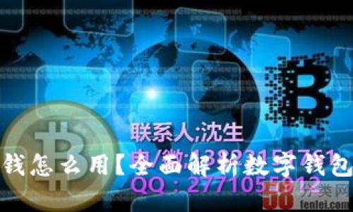 数字钱包里的钱怎么用？全面解析数字钱包的便捷与安全