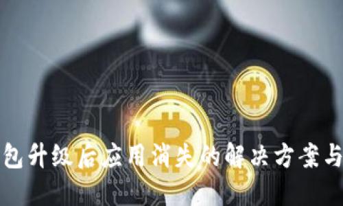 TP钱包升级后应用消失的解决方案与技巧