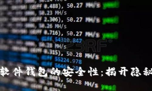 数字货币软件钱包的安全性：揭开隐秘保护层面