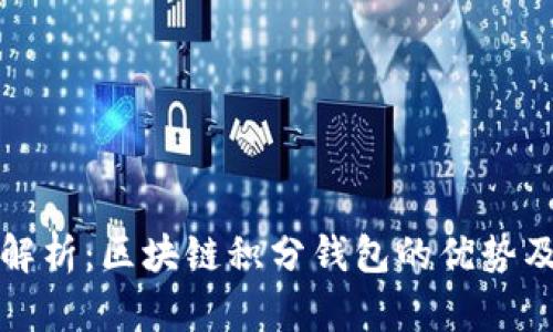 全面解析：区块链积分钱包的优势及未来