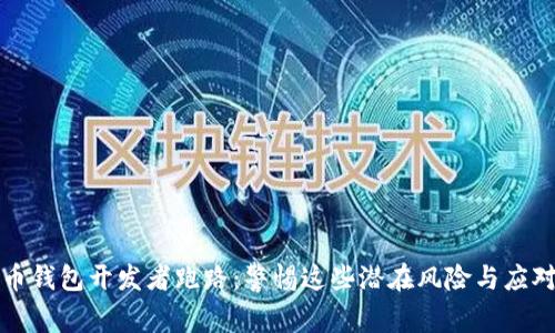 虚拟币钱包开发者跑路：警惕这些潜在风险与应对策略